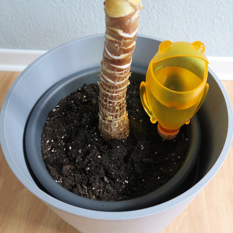 Tipps & Tricks zur Bewässerung deiner Pflanzen im Urlaub