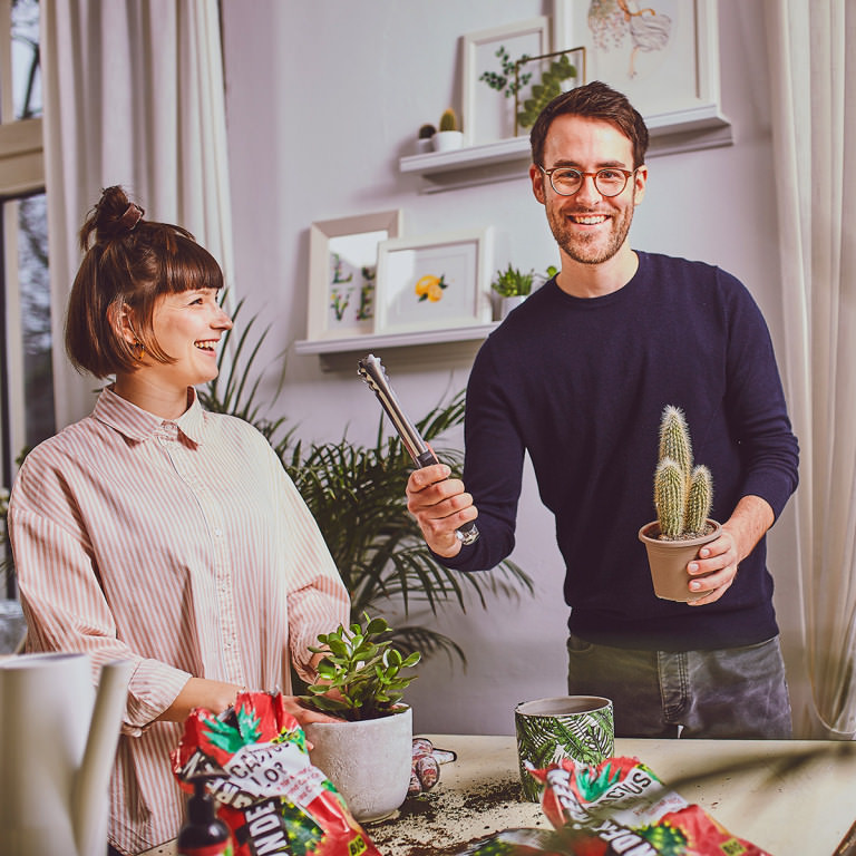 Steckbrief Clusia Alles rund um die Pflege der Clusia