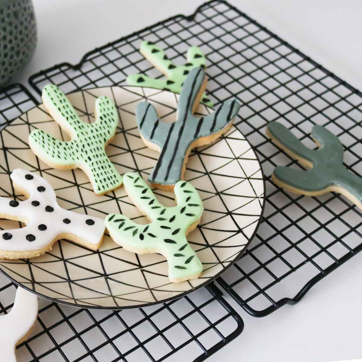 makramee kaktus Macrame Plant Hanger Kit with Pattern main image 1