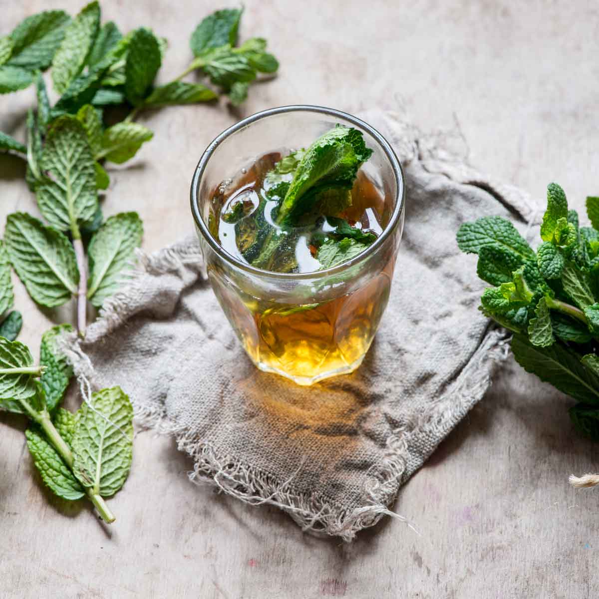 Steckbrief Minze: Alles rund um die Minze und ihre Pflege