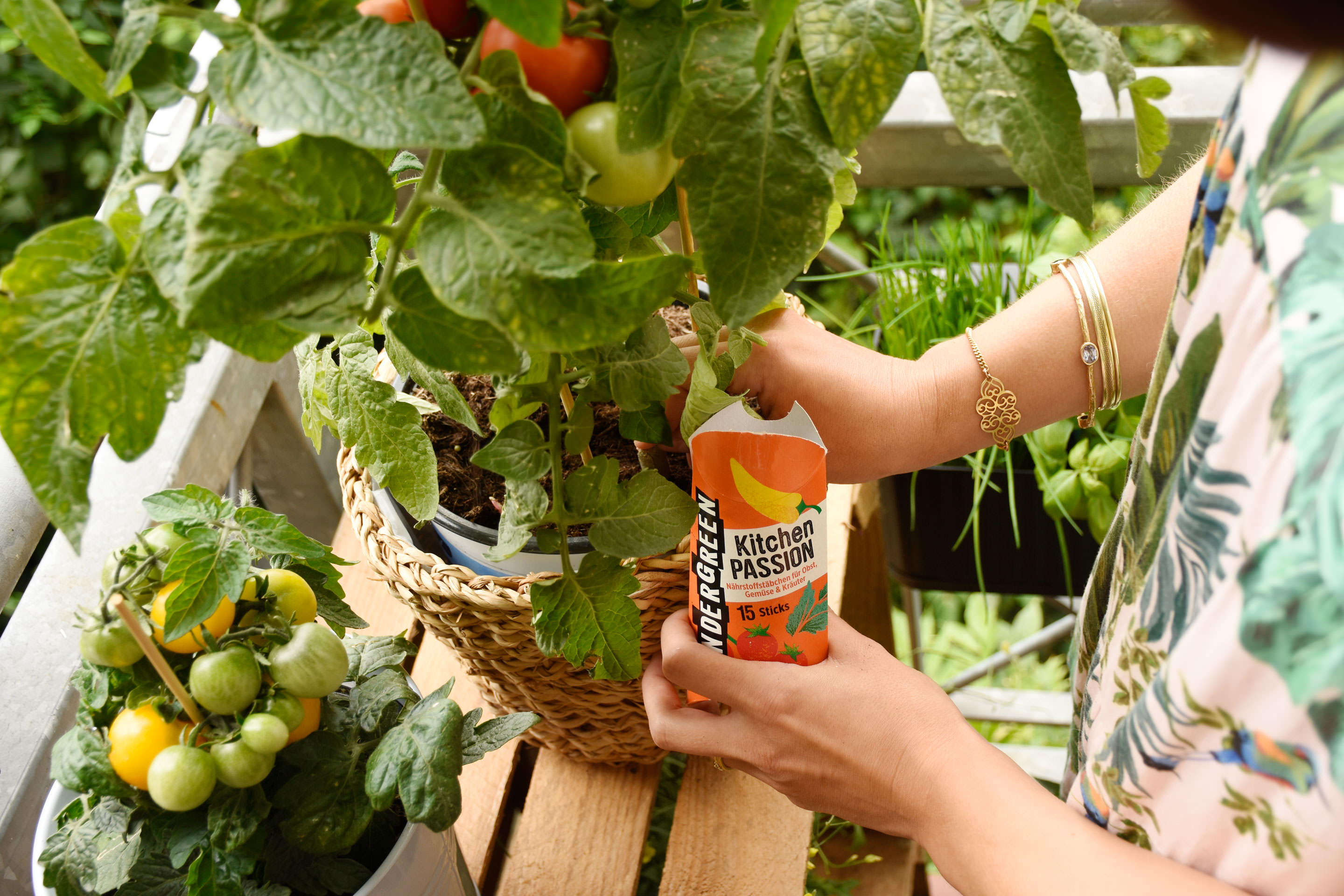 Tomaten richtig pflegen: 10 Tipps für eine reiche Ernte